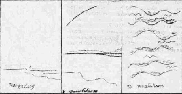    (18191904)
